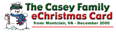 The Casey Family eChristmas Card